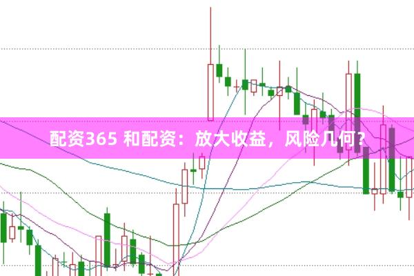 配资365 和配资：放大收益，风险几何？