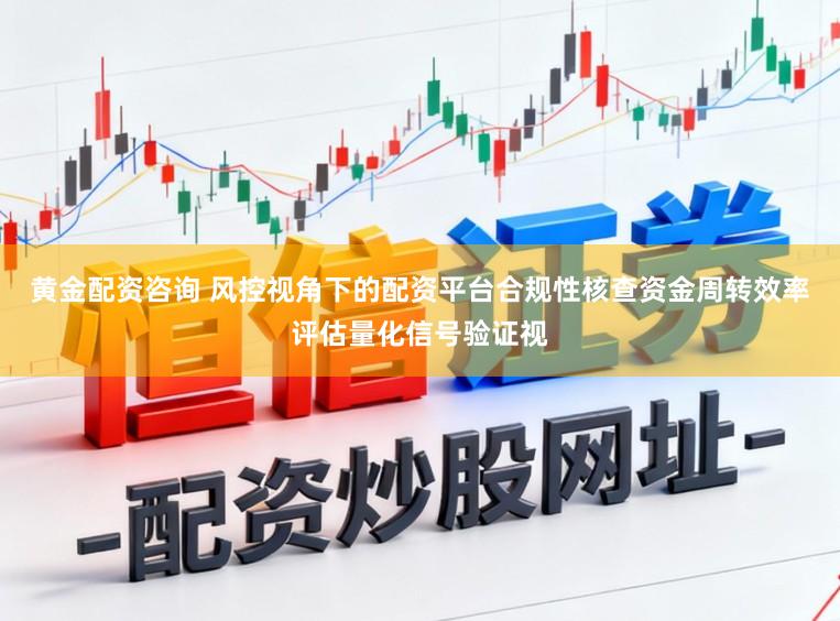 黄金配资咨询 风控视角下的配资平台合规性核查资金周转效率评估量化信号验证视