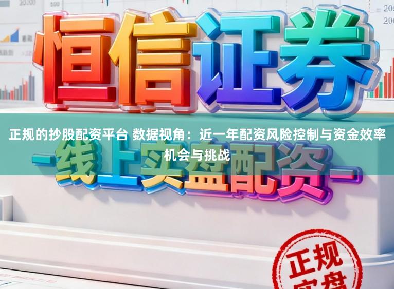 正规的抄股配资平台 数据视角：近一年配资风险控制与资金效率机会与挑战